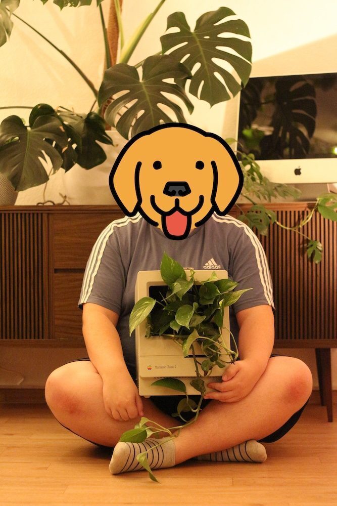 Planty boi